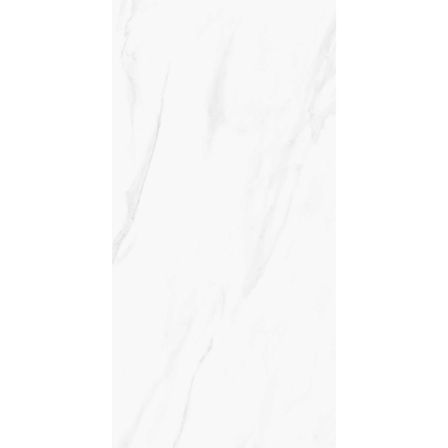 ARA 60 x 120 cm