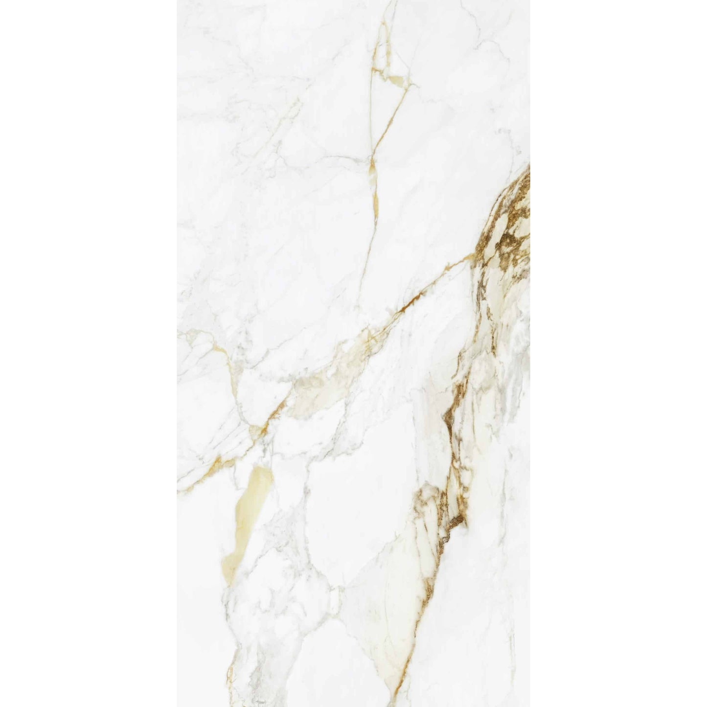 STATUARIO GOLDEN 60 x 120 cm