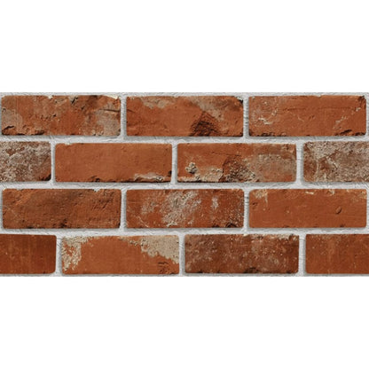 BRICK RED 30 × 60 cm