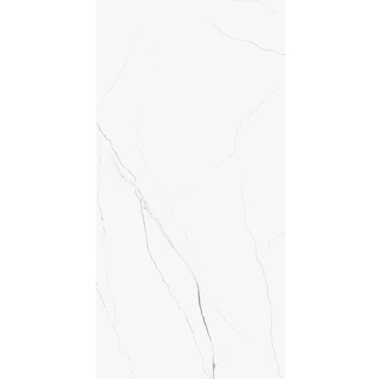 ELEGANCE LIGHT GREY 60 x 120 cm