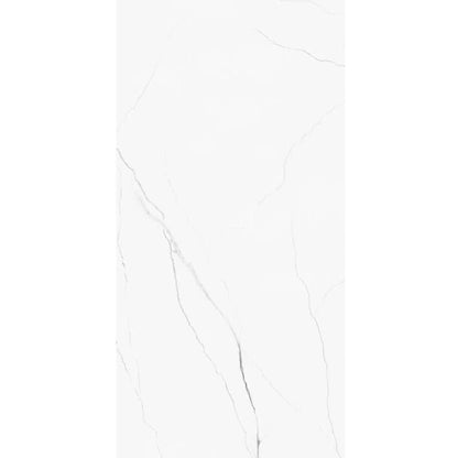 ELEGANCE LIGHT GREY 60 x 120 cm