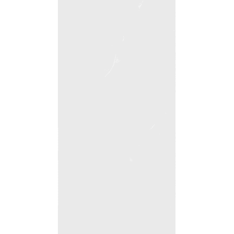 ARCTIC WHITE 60 × 120 cm