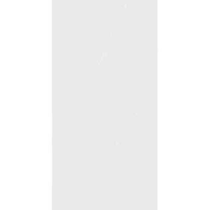 ARCTIC WHITE 60 × 120 cm