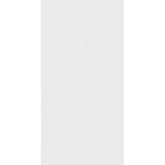 ARCTIC WHITE 60 × 120 cm