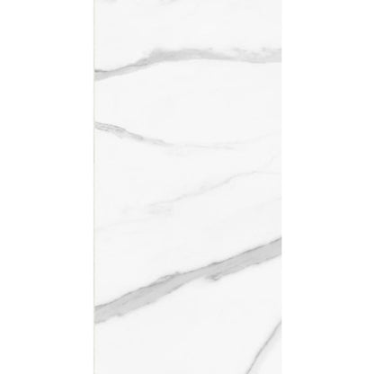 CARRARA VENATO 60 × 120 cm
