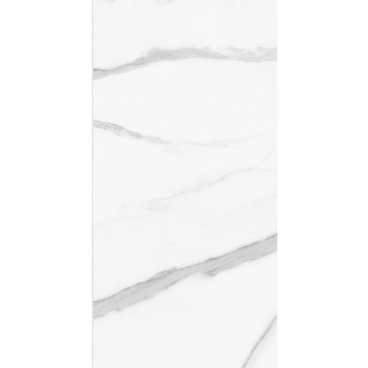 CARRARA VENATO 60 × 120 cm